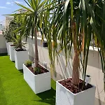 Mediterranean Garden Holidays
