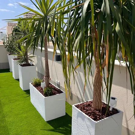 Mediterranean Garden Holidays