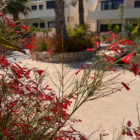 Mediterranean Garden Holidays * Torrevieja