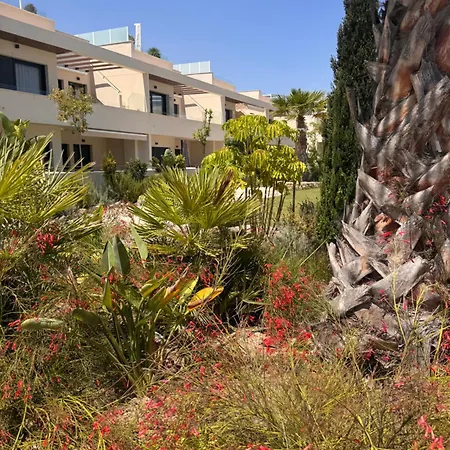Mediterranean Garden Holidays Lejlighed Torrevieja