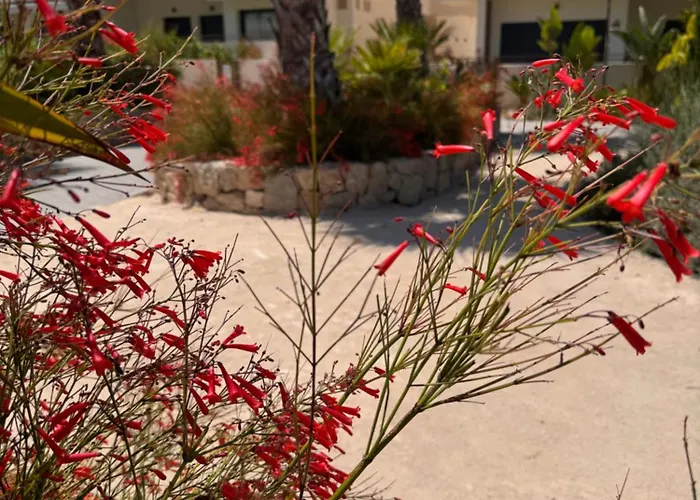 Mediterranean Garden Holidays * Torrevieja