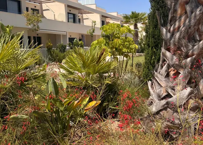 Mediterranean Garden Holidays Lejlighed Torrevieja